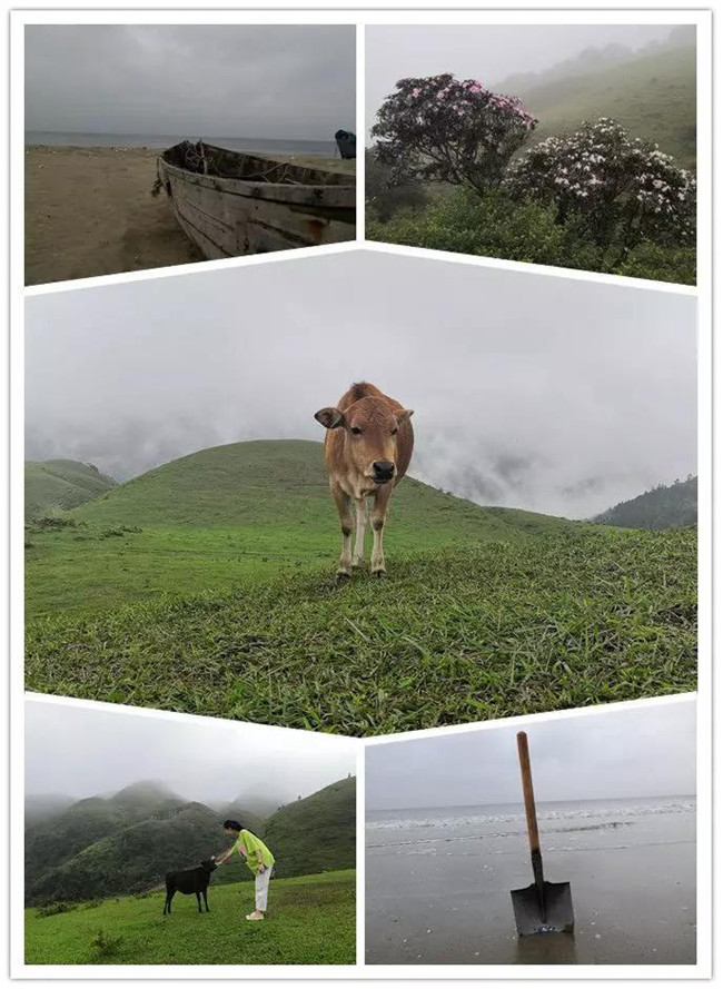 5月1日，陽(yáng)西藍袍藍看海，陽(yáng)春雞籠頂登山賞高山杜鵑