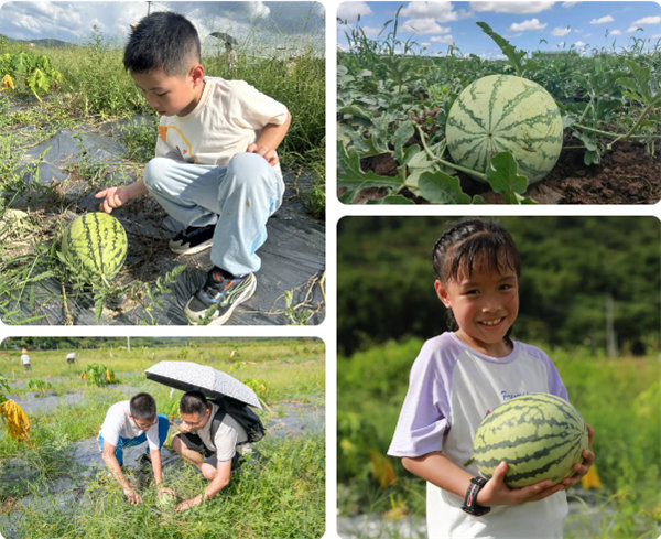 趣游盛夏，一路童行—2024年廣東博皓親子游   -12